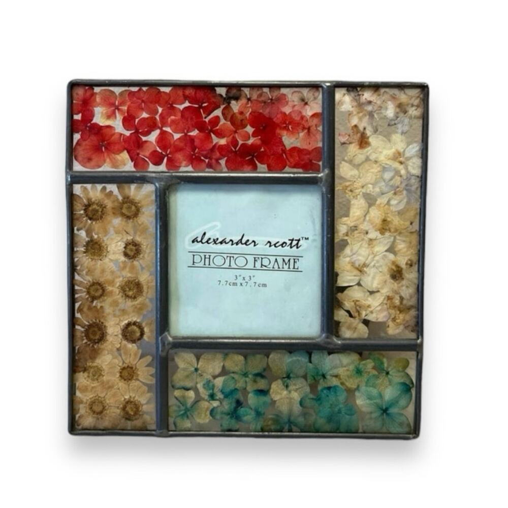 Y2K Alexander Scott pressed dried flowers tabletop frame